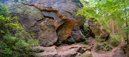 Panoramic view over magical enchanted fairytale forest with moss, lichen and fern at the hiking trail Malerweg in the national park Saxon Switzerland near Dresden, Saxony, Germany.