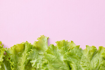 pattern of lettuce leaves on pink background
