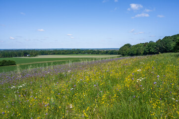 Landscape Worpswede Germany