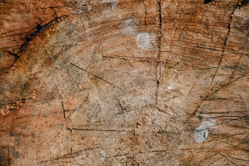 Madera con desgaste. 