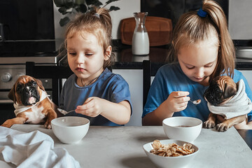 Two little girls friends at home in the kitchen at the table are fed breakfast, milk and cereal to...