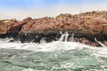 The Ballestas Islands are a group of small islands off the Peruvian coast