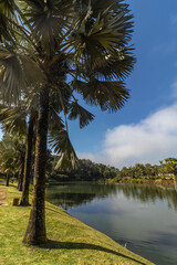 Obraz premium natural landscape in the city of Brumadinho, State of Minas Gerais, Brazil