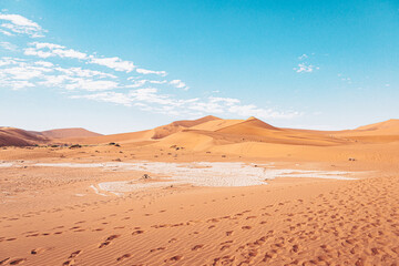 Fototapeta na wymiar Sahara Desert 
