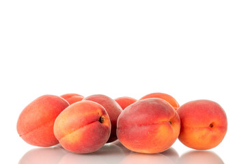 Several ripe red apricots, close-up, isolated on a white background.