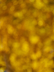 Blurred background of autumn forest with nice bokeh.