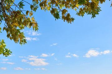 Obraz premium cloud and blue sky