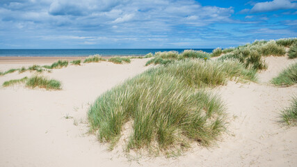 Fototapeta na wymiar Holkham sand dunes