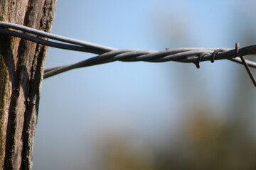 clôture et barrière