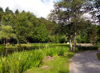 Romantischer Weiher im Kurpark Daun in der Eifel / Vulkaneifel, Rheinland-Pfalz. 