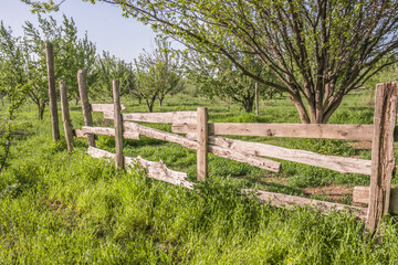 Fototapeta na wymiar Rustic fence from old boards and poles