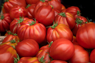 red tomatoes