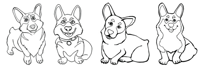 illustration of a dog set four corgi dog vector image for coloring