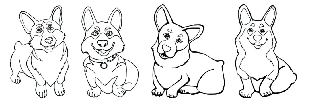 illustration of a dog set four corgi dog vector image for coloring