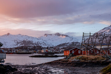 Incredible sunset n spring in Norway in the lofoten islands