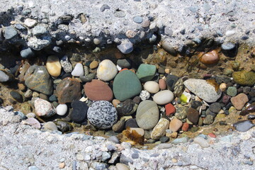Pebbles in a tide pool on the beach
