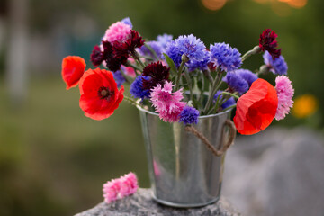 Wildflowers