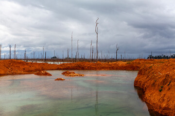 Gold field, Wittikreek, Lake Brokopondomeer, Suriname, South America