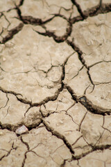 dry cracked earth