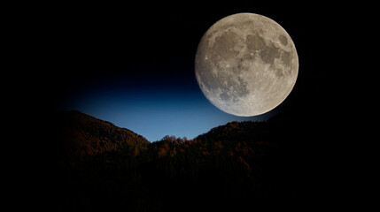 autumnal forest and the moon