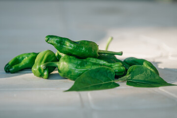 natural peppers denomination of origin padrón peppers