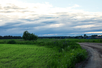 Fototapeta na wymiar Country road waving along green fields to village. Blue sky white clouds dusk landscape background