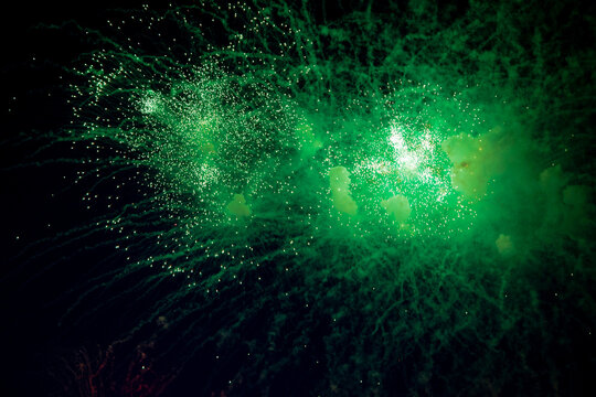 Bright fireworks with a green glowing center with green sparks and smoke flying towards the background of the night sky. High quality photo