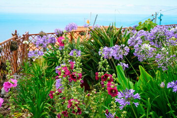 garden flowers and the beach