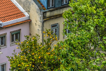 Panoramic and urban landscape of neighborhoods in the city. Lisboa, Portugal. 