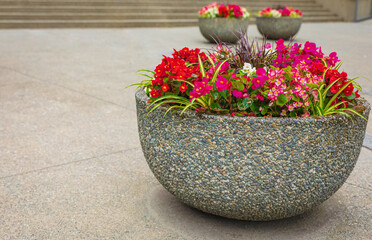Planter with Flowers and Plants. Big flower pot in city courtyard. Outdoor decoration elements....