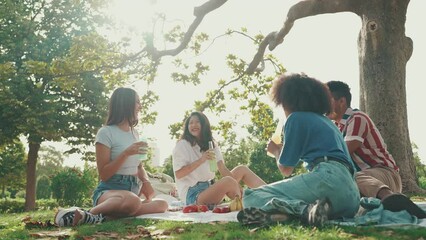 Happy, smiling multiethnic young people at picnic on summer day outdoors. Group of friends having fun with drinks spending the weekend together relaxing in the park at picnic. Backlight