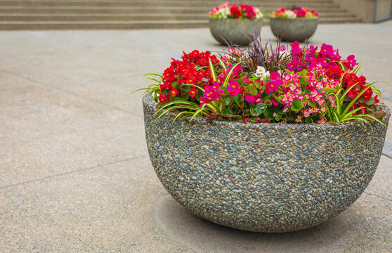 Planter with Flowers and Plants. Big flower pot in city courtyard. Outdoor decoration elements. Street decoration.