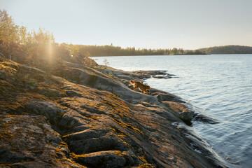 dog on the stone seashore. Nova Scotia duck tolling retriever in a sunset on landscape