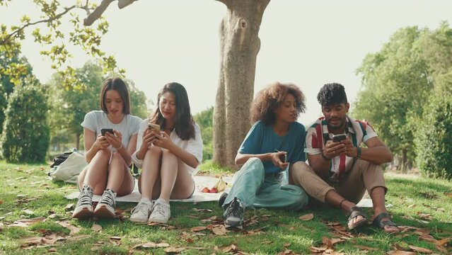 Happy, smiling multiethnic young people at picnic on summer day outdoors. group of friends are talking, using cellphone, browsing photos, videos, social networks