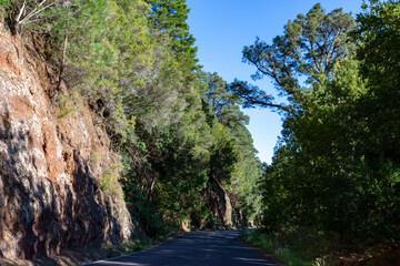 Driving on La Palma island to highest mountain Roque de los muchachos before Cumbre vieja volcano eruption in 2021, sunny day, Canary islands, Spain