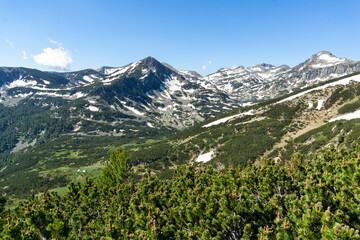 Landscape of Pirin Mountain near Popovo Lake, Bulgaria