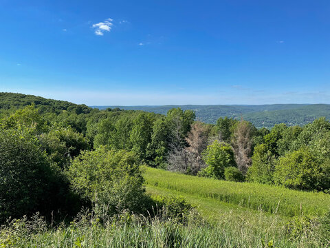 Hiking with Views at Audubon Society in Upstate New York