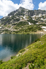 Obraz na płótnie Canvas Landscape of Pirin Mountain near Popovo Lake, Bulgaria
