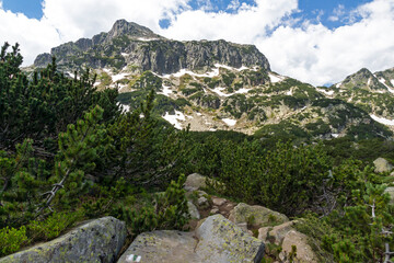 Landscape of Pirin Mountain near Popovo Lake, Bulgaria