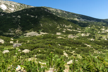 Fototapeta na wymiar Landscape of Pirin Mountain near Popovo Lake, Bulgaria