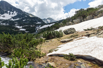Landscape of Pirin Mountain near Popovo Lake, Bulgaria