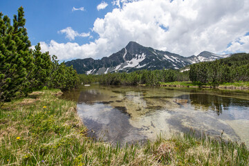 Landscape of Pirin Mountain near Popovo Lake, Bulgaria