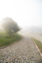 Foggy morning on the farm