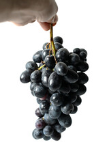 black grapes isolated on white background