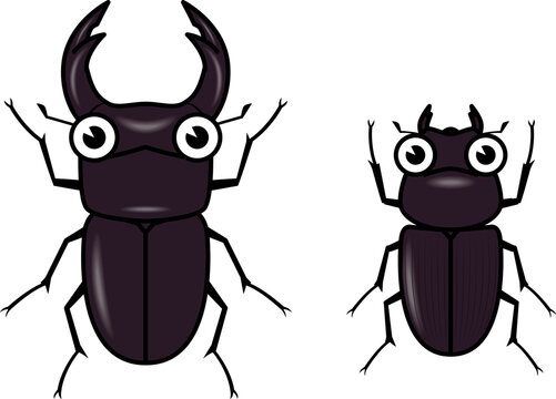 クワガタムシ Images Browse 1 409 Stock Photos Vectors And Video Adobe Stock