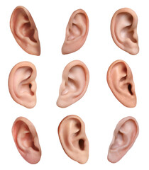 Human ears on white background, collage. Organ of hearing and balance