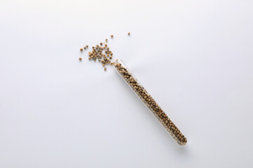 Glass tube with coriander seeds on white background, top view