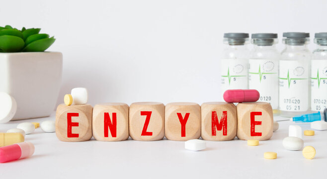 enzyme word written on wooden blocks and stethoscope on light white background. High quality photo