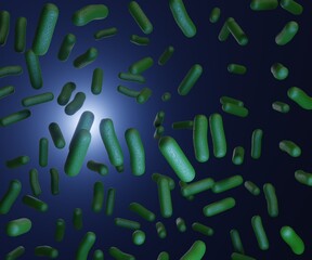 bacillus bacteria cells spread out or scattered 