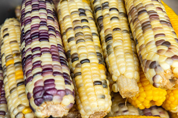 Boiled sweet corn